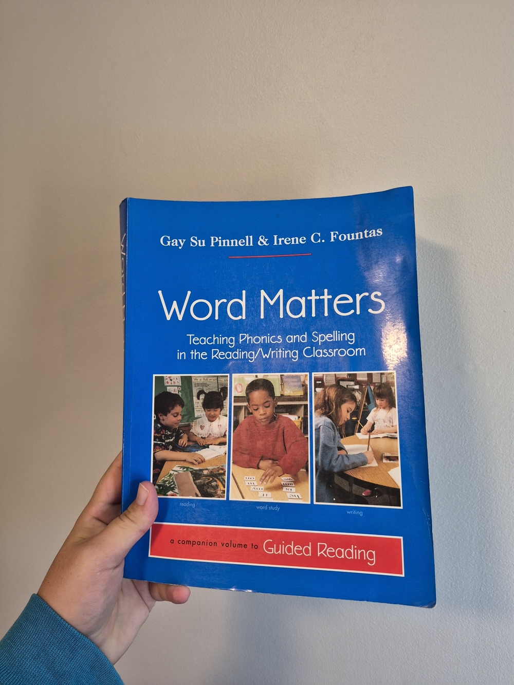 Word Matters Educational Teaching Phonics, Spelling, Reading, Writting Textbook